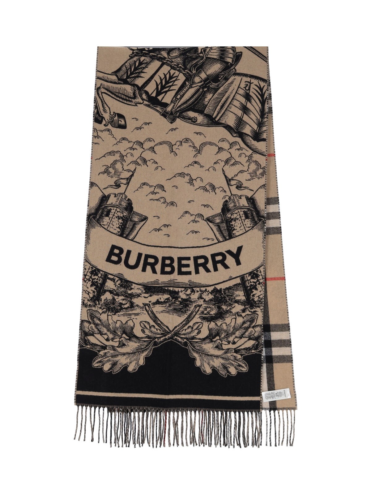 Burberry Reversible Cashmere Scarf In Brown