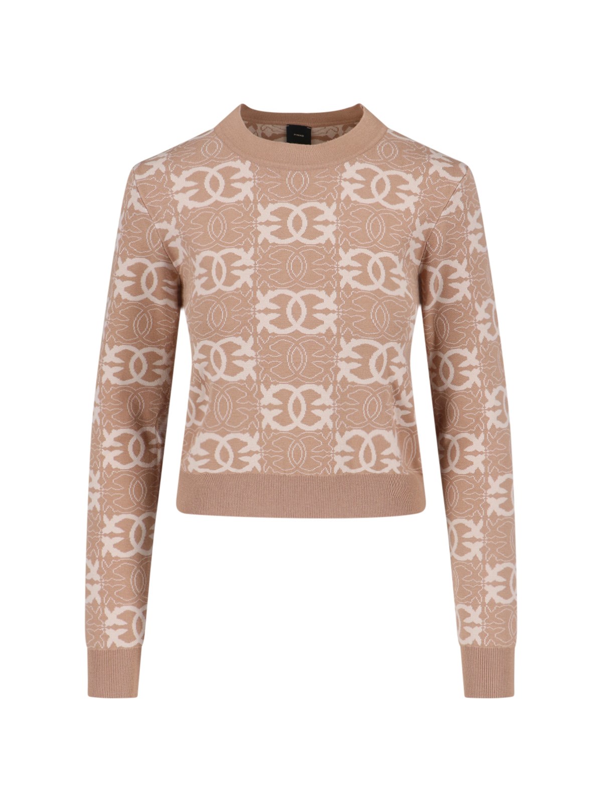 Pinko 'love Birds' Sweater In Brown